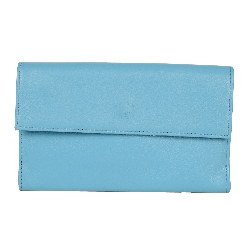Compagnon cuir bleu azur et beige - de face