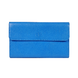 Compagnon cuir bleu - de face
